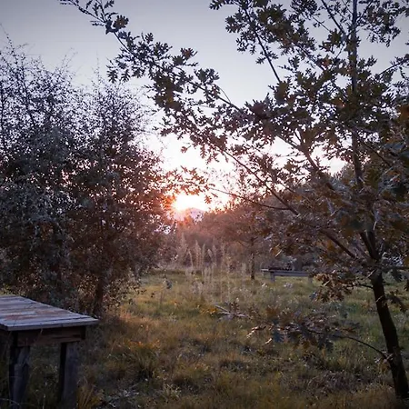 Casa Florestal - The Hobbit House Lodge *
