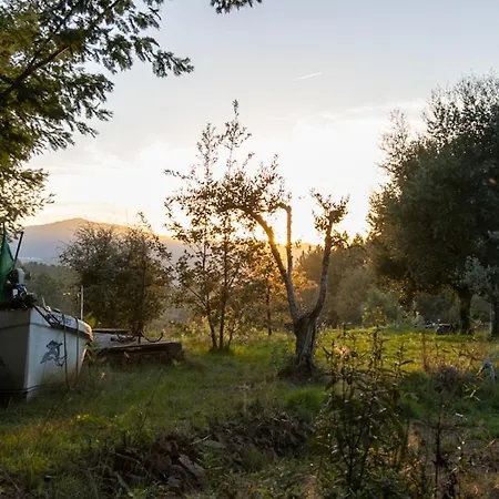 Casa Florestal - The Hobbit House *
