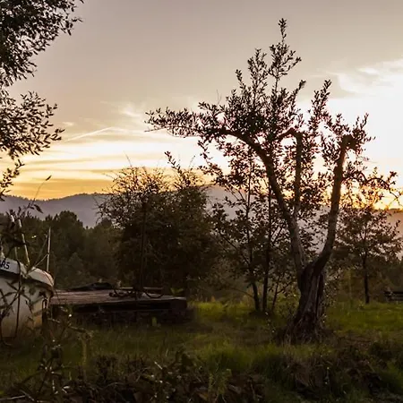 Lodge Casa Florestal - The Hobbit House *