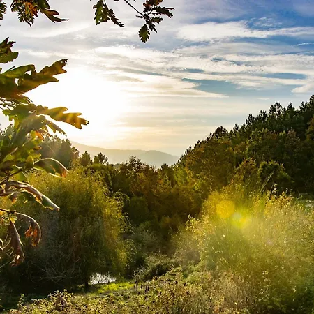 Casa Florestal - The Hobbit House Lodge